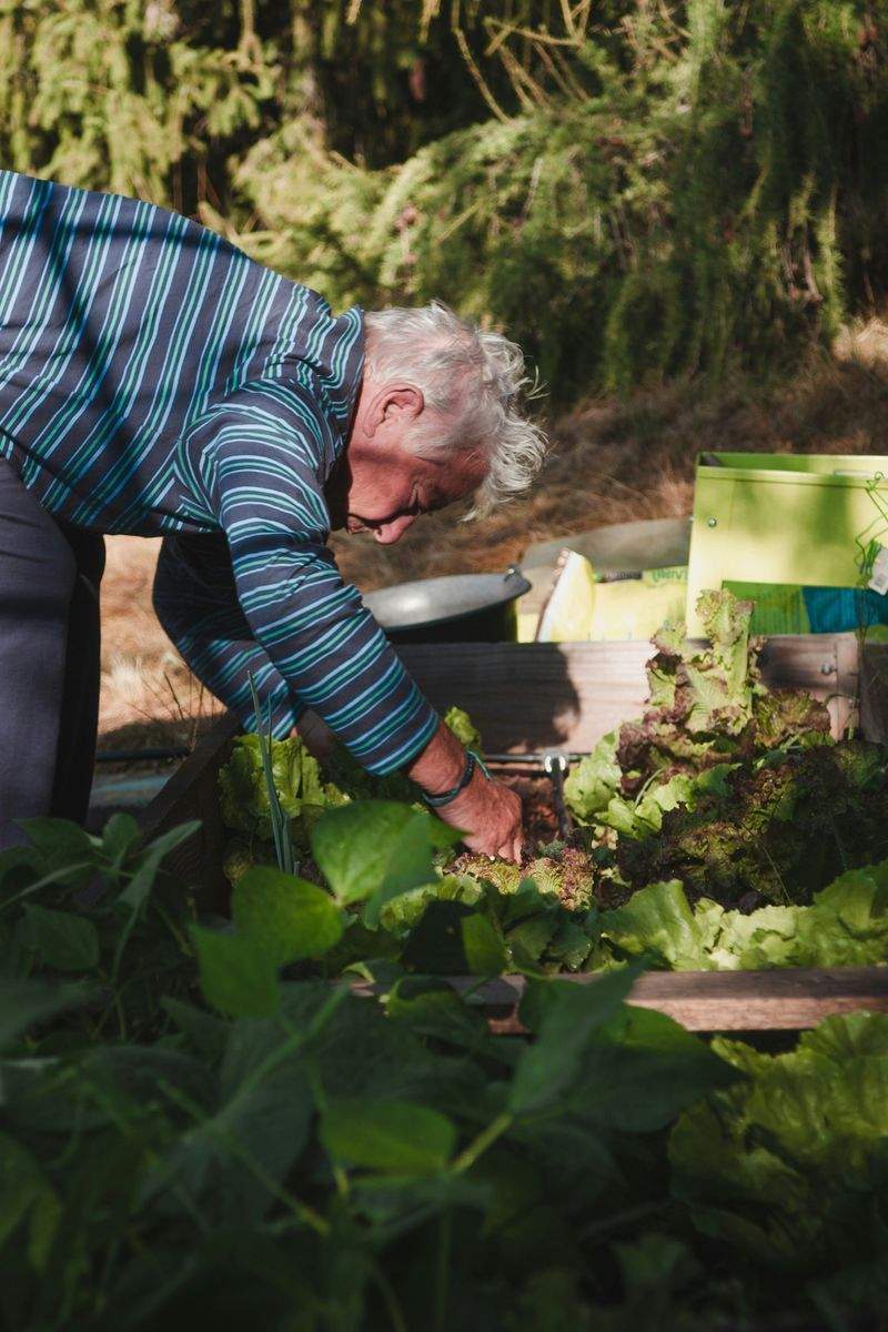 Jardins Harmonie Pro 11